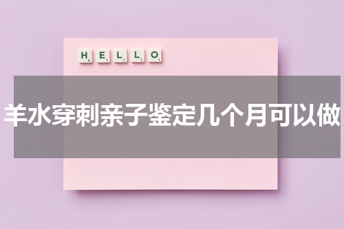 羊水穿刺亲子鉴定几个月可以做