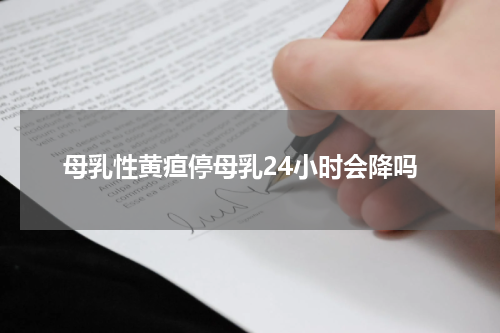 母乳性黄疸停母乳24小时会降吗