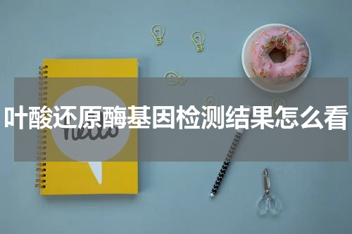叶酸还原酶基因检测结果怎么看