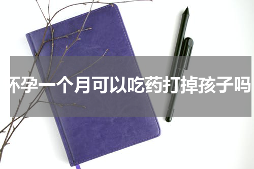 怀孕一个月可以吃药打掉孩子吗