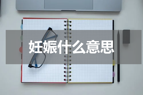 妊娠什么意思