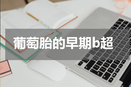 葡萄胎的早期b超