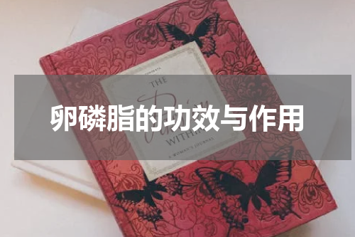 卵磷脂的功效与作用