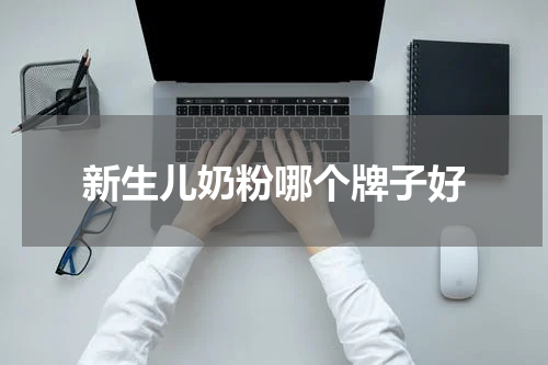 新生儿奶粉哪个牌子好
