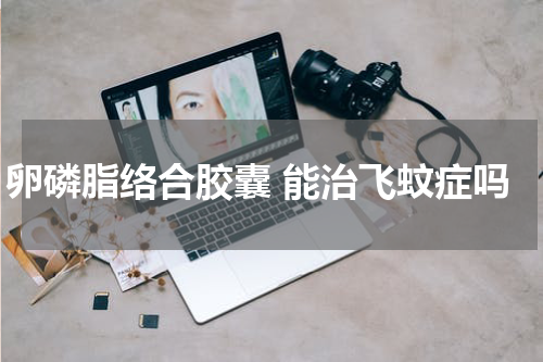 卵磷脂络合胶囊 能治飞蚊症吗