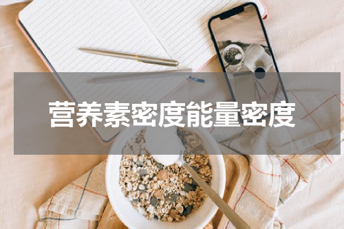 营养素密度能量密度