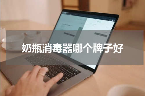 奶瓶消毒器哪个牌子好
