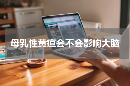 母乳性黄疸会不会影响大脑