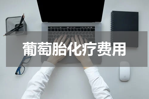 葡萄胎化疗费用