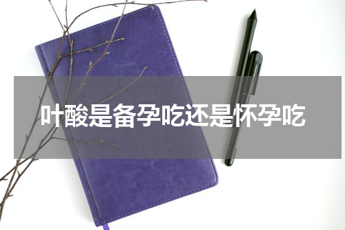 叶酸是备孕吃还是怀孕吃