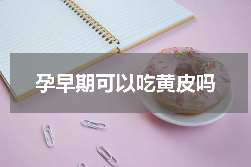孕早期可以吃黄皮吗