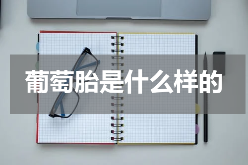 葡萄胎是什么样的