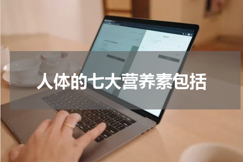 人体的七大营养素包括