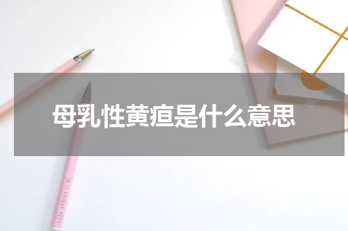 母乳性黄疸是什么意思