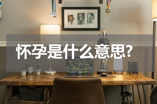 怀孕是什么意思?