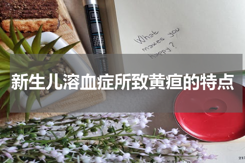 新生儿溶血症所致黄疸的特点