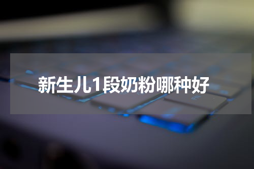 新生儿1段奶粉哪种好
