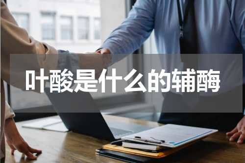 叶酸是什么的辅酶