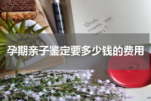 孕期亲子鉴定要多少钱的费用
