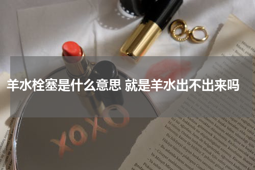 羊水栓塞是什么意思 就是羊水出不出来吗
