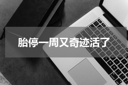 胎停一周又奇迹活了