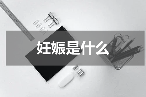 妊娠是什么