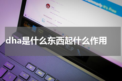 dha是什么东西起什么作用