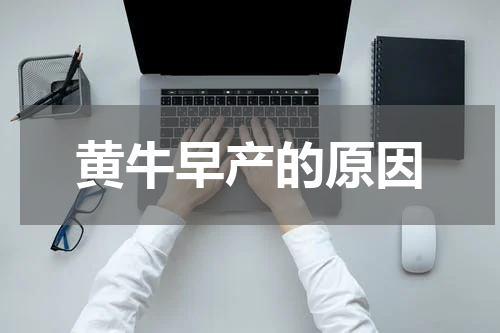 黄牛早产的原因
