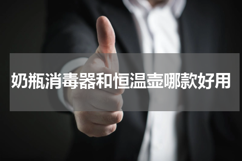 奶瓶消毒器和恒温壶哪款好用