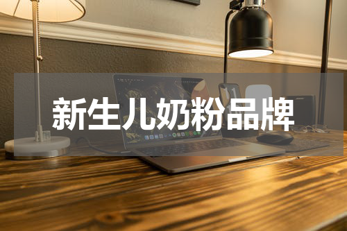 新生儿奶粉品牌