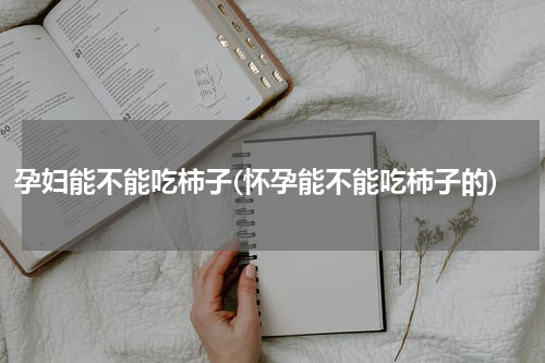 孕妇能不能吃柿子(怀孕能不能吃柿子的)