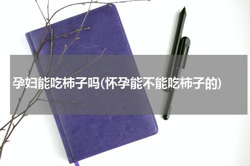 孕妇能吃柿子吗(怀孕能不能吃柿子的)