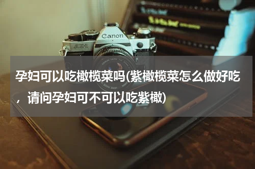 孕妇可以吃橄榄菜吗(紫橄榄菜怎么做好吃，请问孕妇可不可以吃紫橄)
