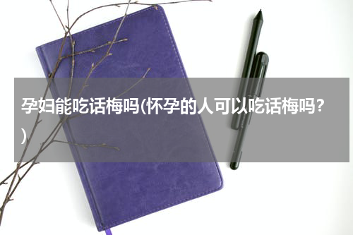 孕妇能吃话梅吗(怀孕的人可以吃话梅吗？)